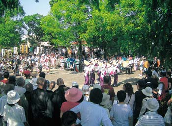 興源時で奉納阿波おどりを撮影する様子の写真