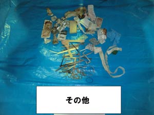 混入されていたその他のプラスチック製容器包装以外のものの写真