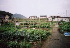 丈六団地ファミリー菜園の写真です