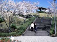 花と鳥の展望広場の写真